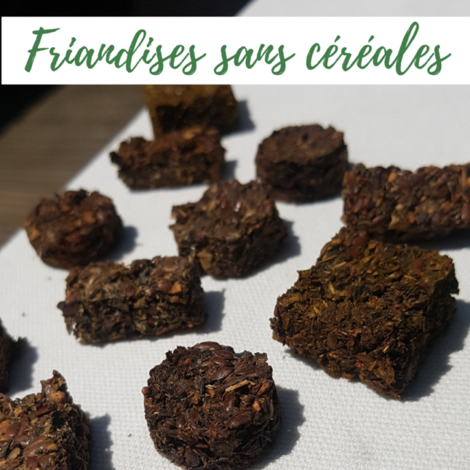 .Friandises chevaux - Recette sans céréales.