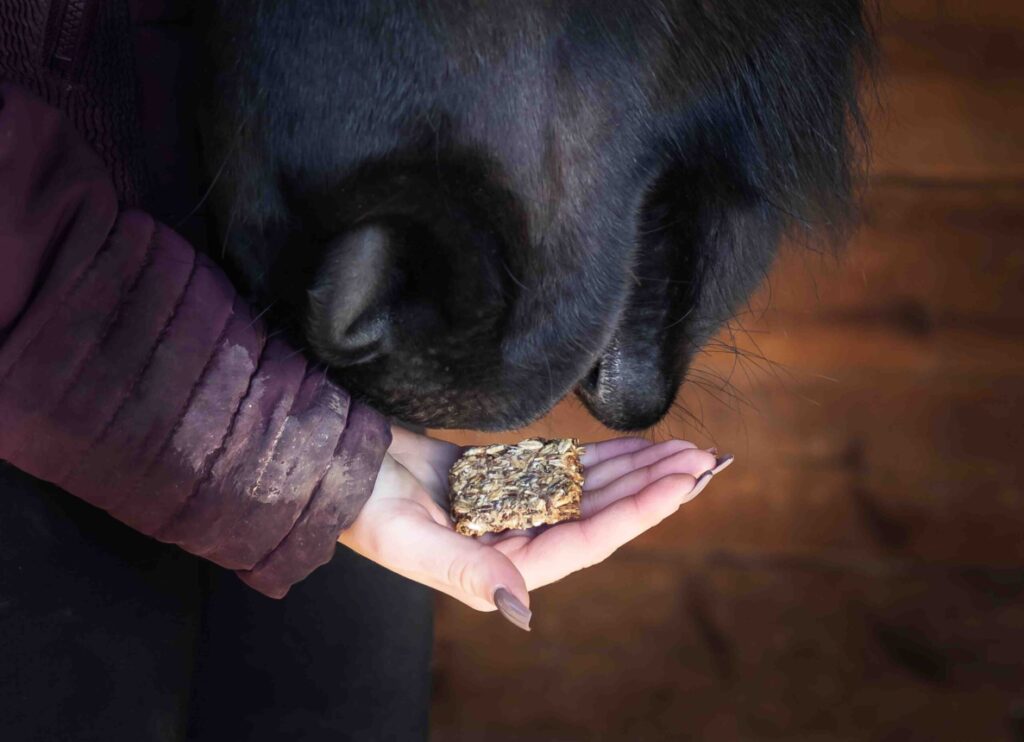 Friandises chevaux Natural Kys