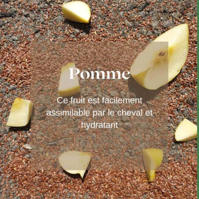 Friandises chevaux sans céréales pomme