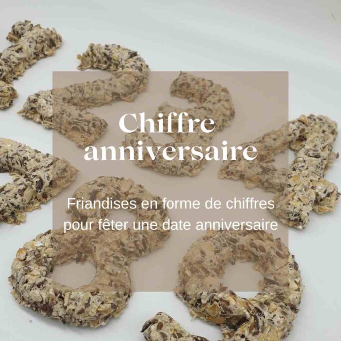 Chiffre anniversaire friandise chevaux