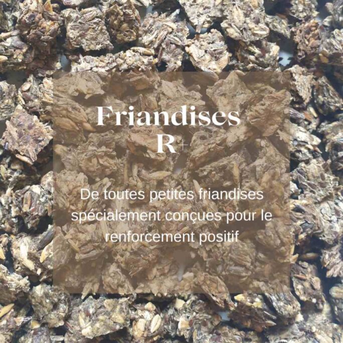 Friandises chevaux R+