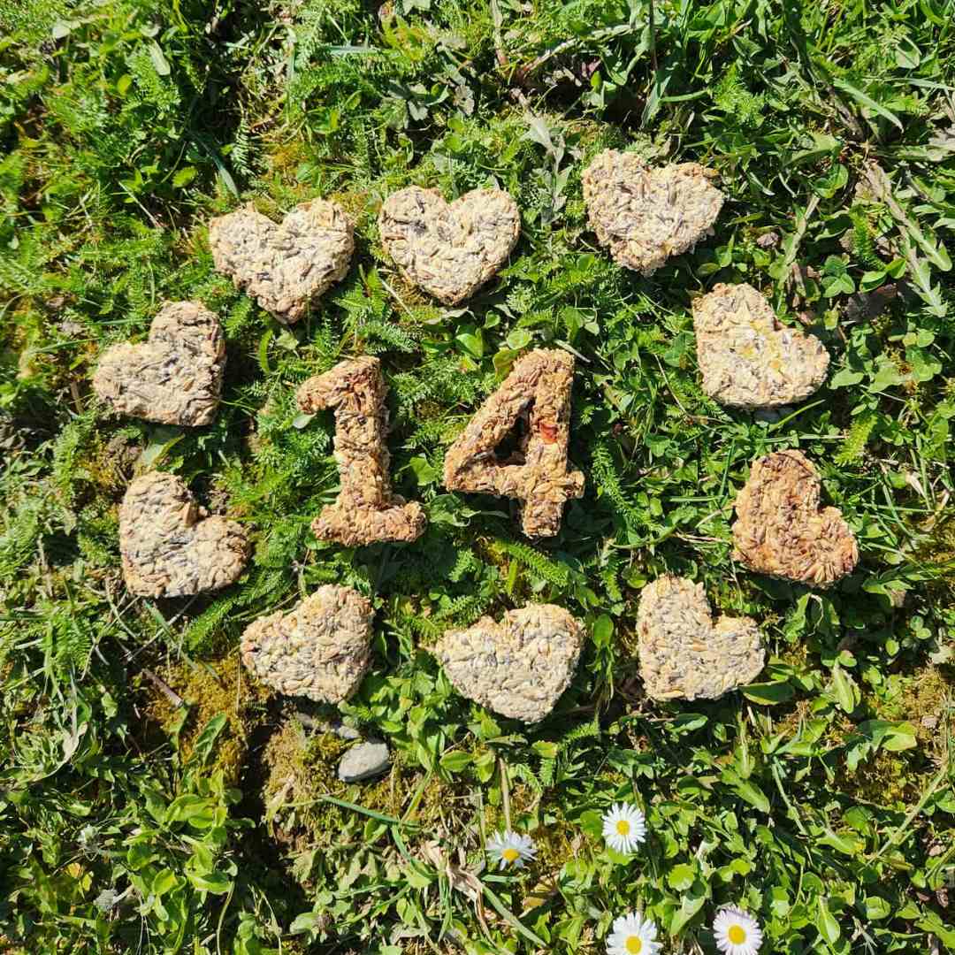 Friandises chevaux chiffres anniversaire Natural Kys