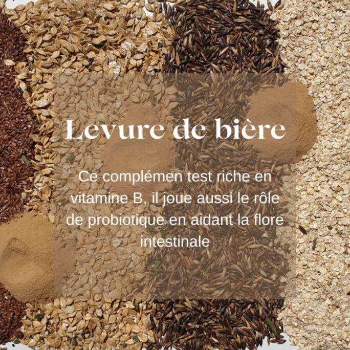 Friandises chevaux levure de bière