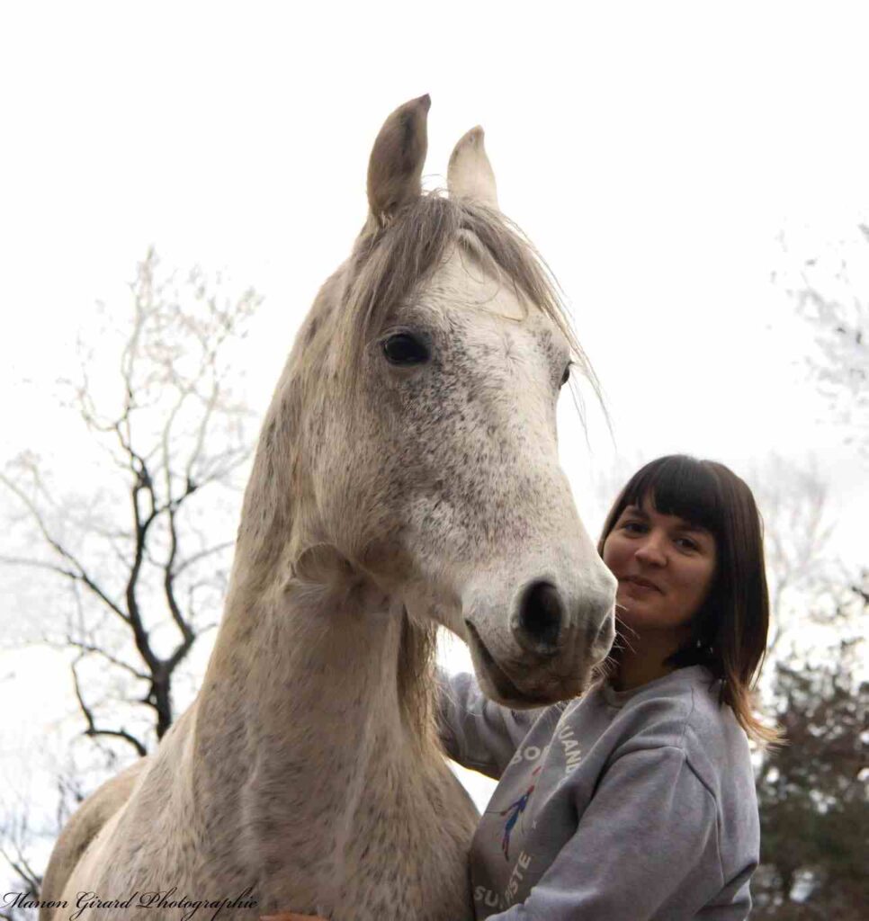 FRIANDISES NATURELLES POUR CHEVAL - A l'eucalyptus et sans