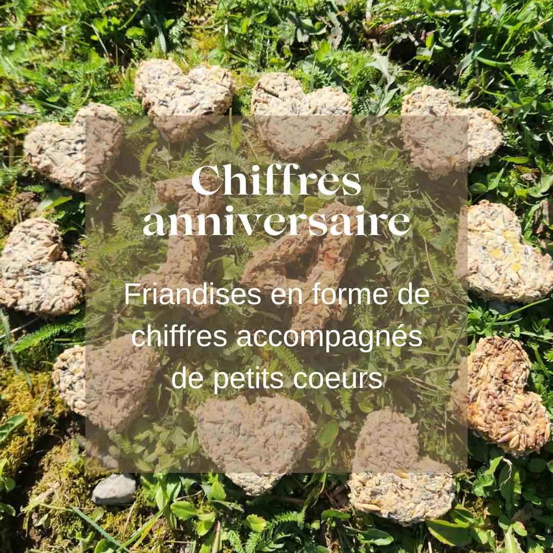 Friandises chevaux chiffre anniversaire Natural Kys