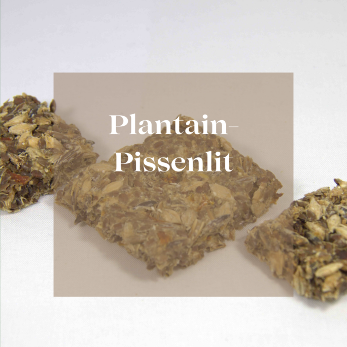 Friandises chevaux Natural Kys plantain pissenlit