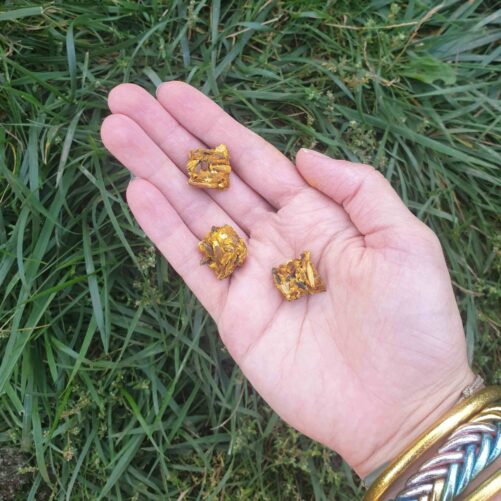 Friandises R+ Natural Kys curcuma