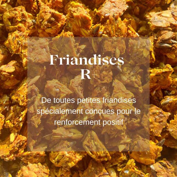 Friandises R+ Natural Kys curcuma