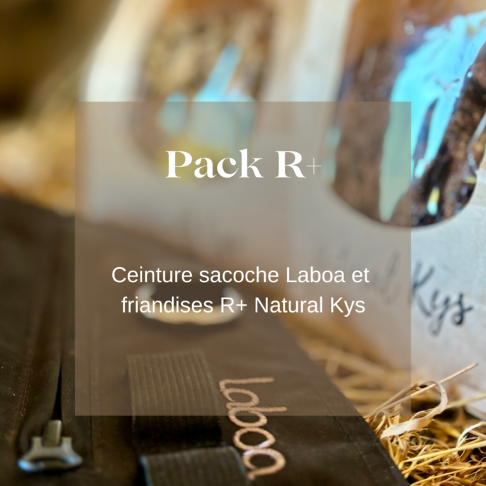 Pack R+ Laboa Natural Kys