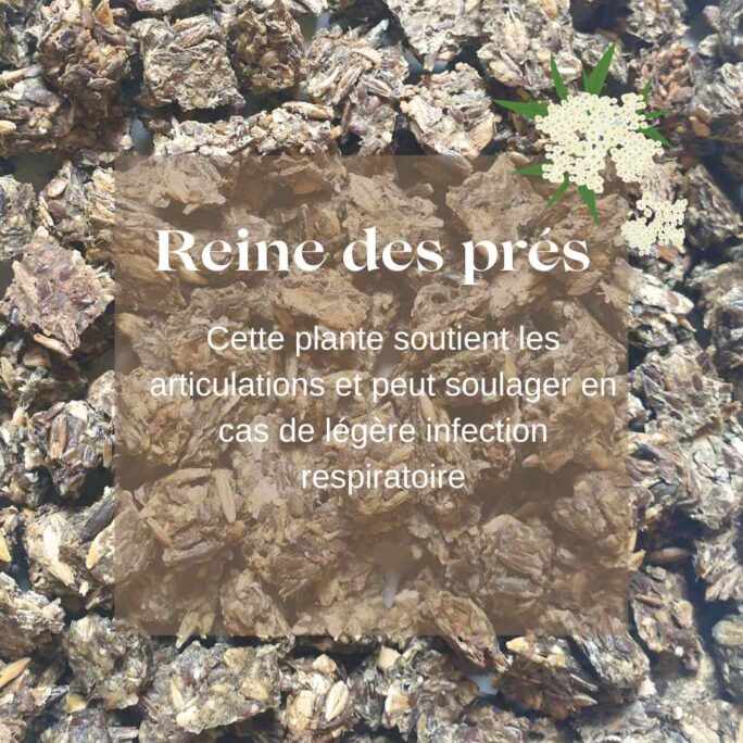Friandises chevaux naturelles reine des prés