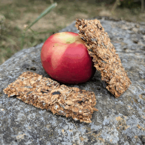 Friandises chevaux nectarine Natural Kys