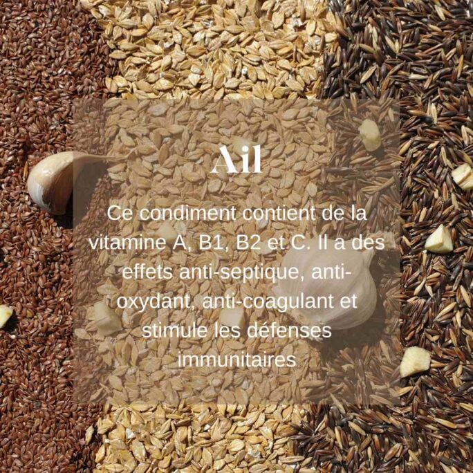 Friandises naturelles chevaux ail