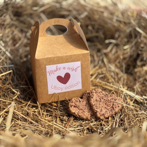 Box de friandises nautrelles chevaux Natural Kys personnalisée