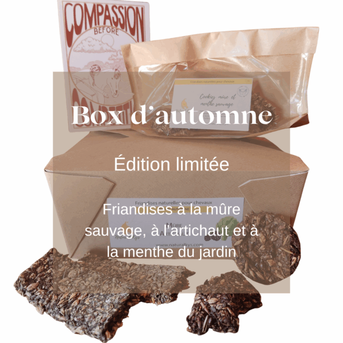 Box automne friandises naturelles chevaux Natural Kys