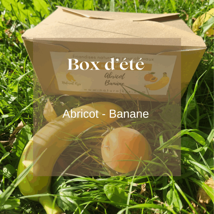 Box été friandises naturelles chevaux Natural Kys