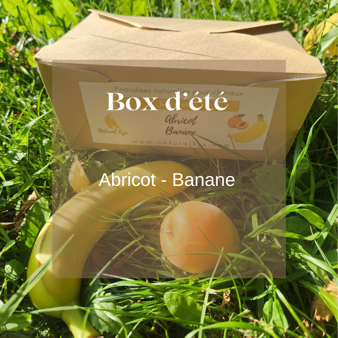 Box été friandises naturelles chevaux Natural Kys