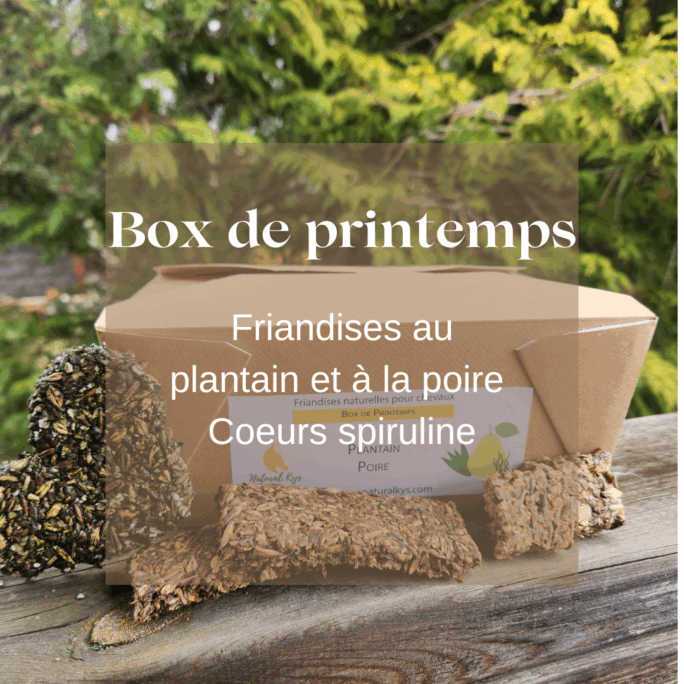 Box printemps Natural Kys