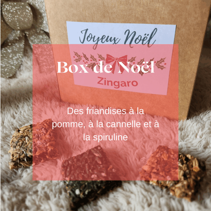 Box de noel friandises naturelles chevaux Natural Kys