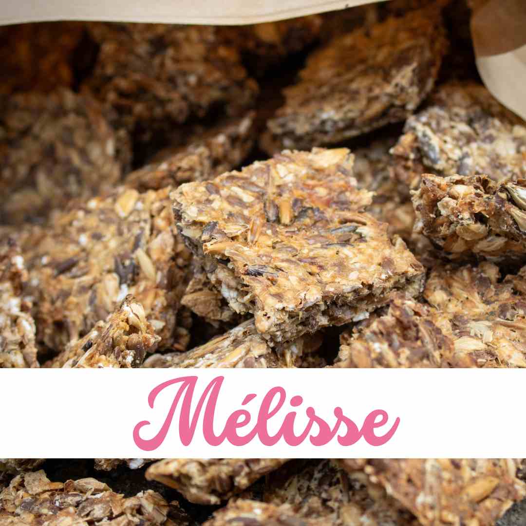 Friandises chevaux Natural Kys mélisse