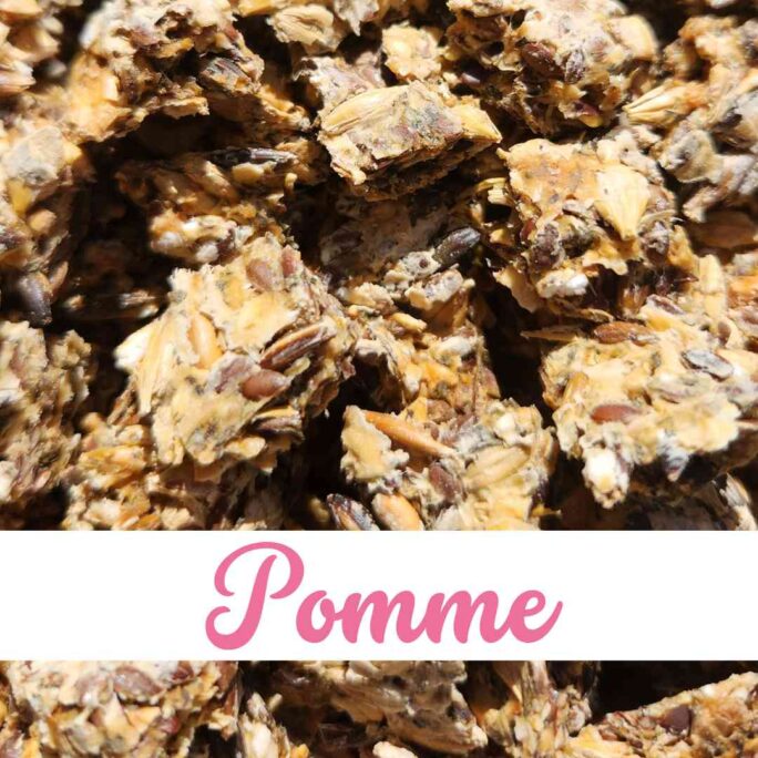 Friandises chevaux Natural Kys pomme