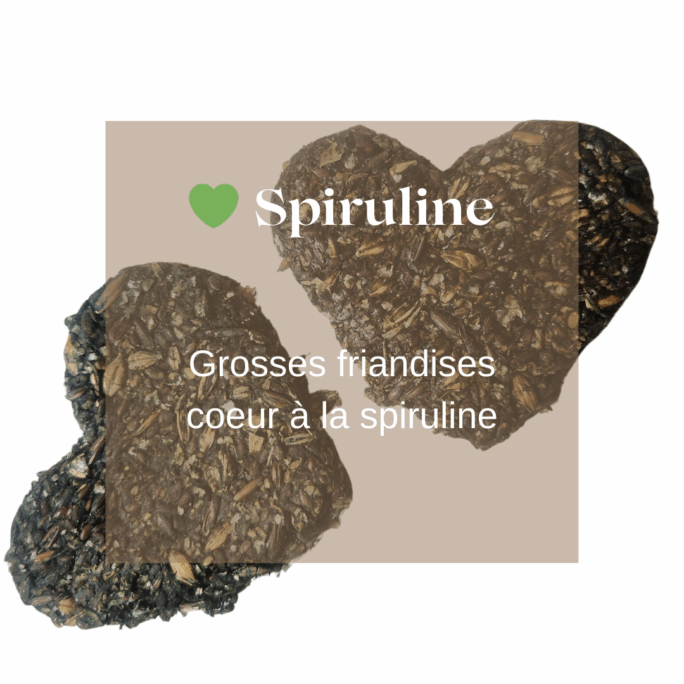 Friandises naturelles chevaux spiruline Natural Kys