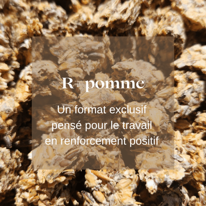 friandises naturelles chevaux pomme Natural Kys