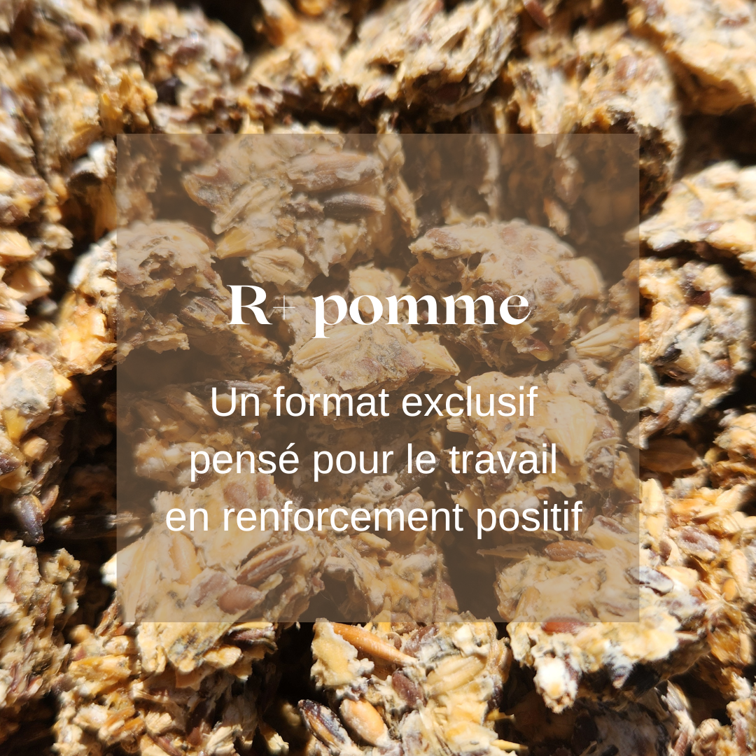 friandises naturelles chevaux pomme Natural Kys