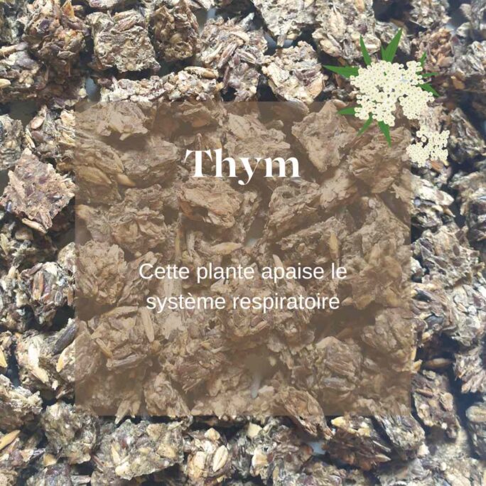 Friandises naturelles chevaux R+ thym Natural Kys