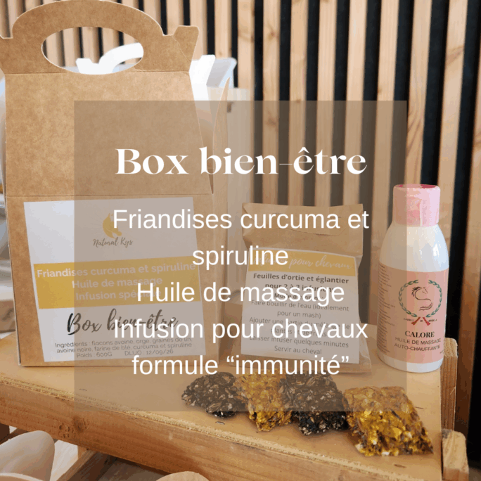 Box bien etre friandises chevaux Natural Kys