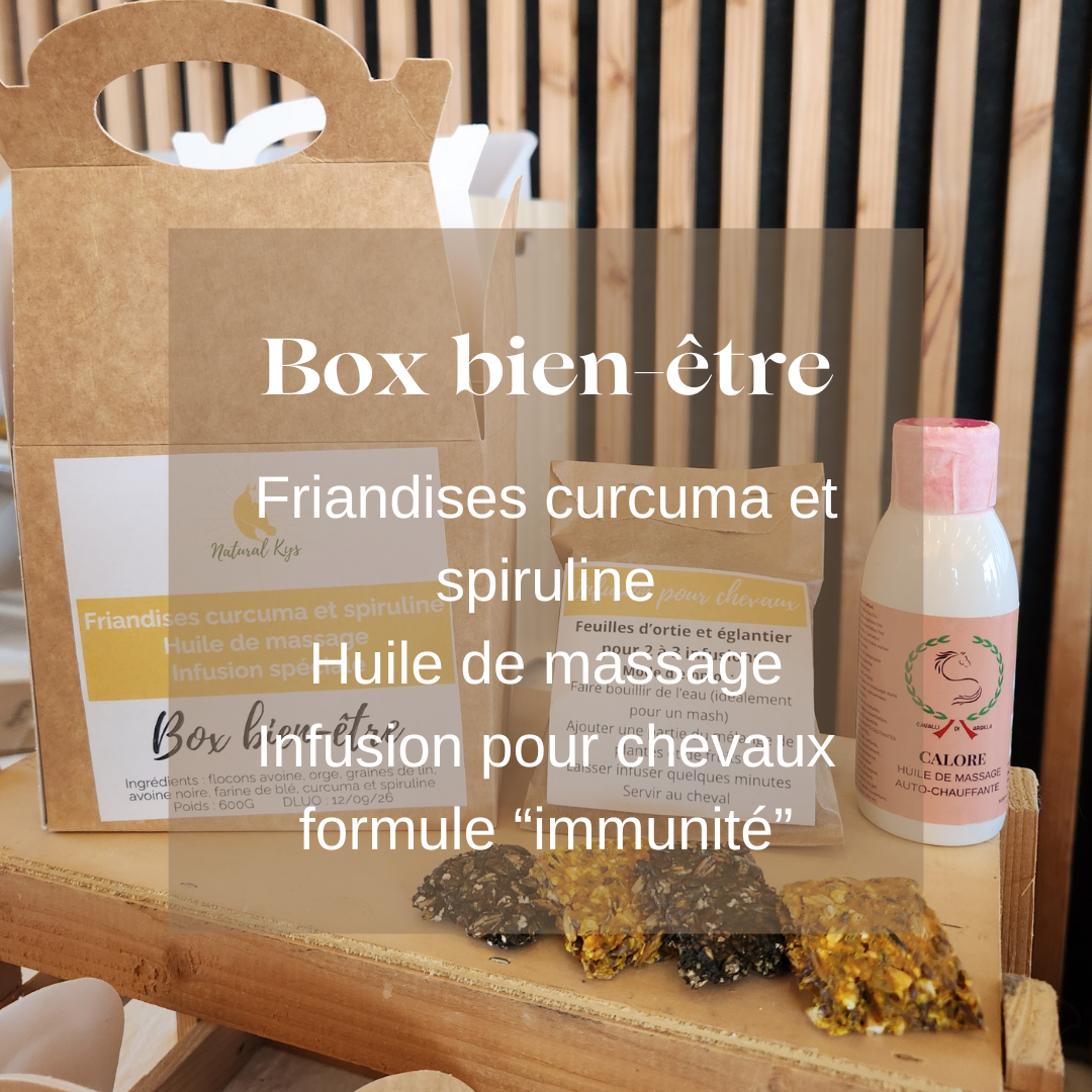 Box bien etre friandises chevaux Natural Kys