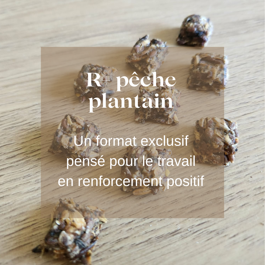 Friandises naturelles chevaux Natural Kys R+