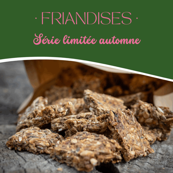 Friandises