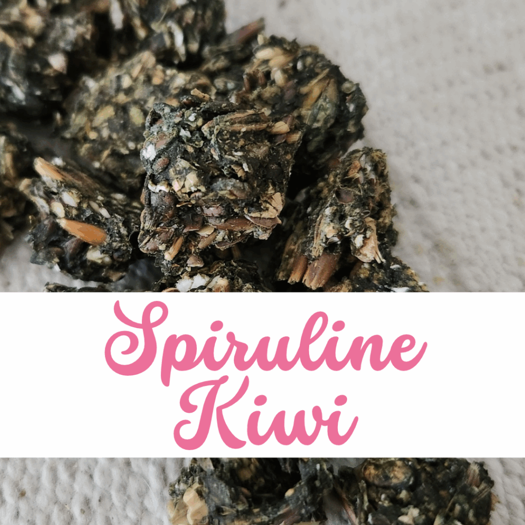 Friandises Natural Kys spiruline kiwi