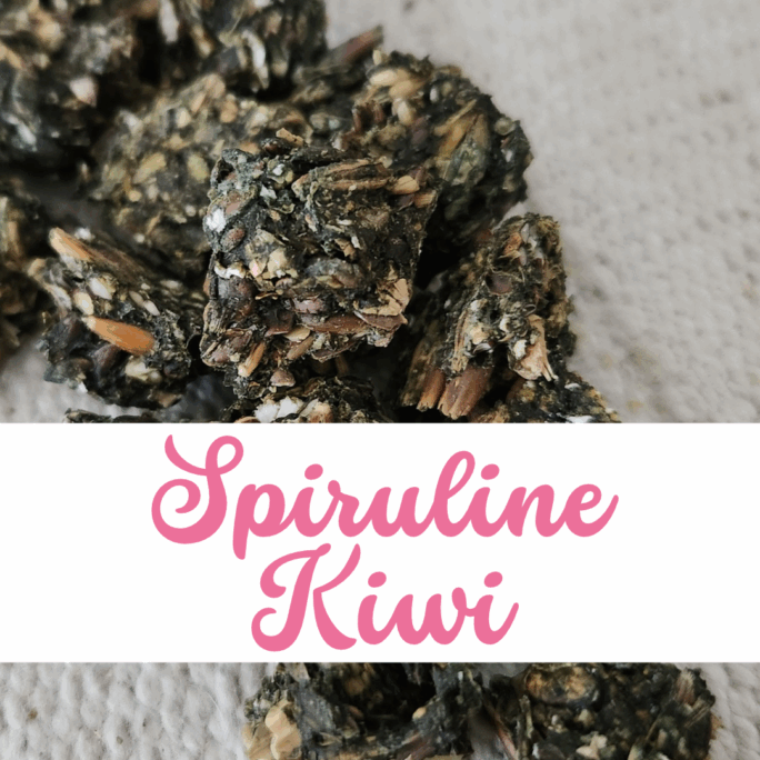 Friandises Natural Kys spiruline kiwi
